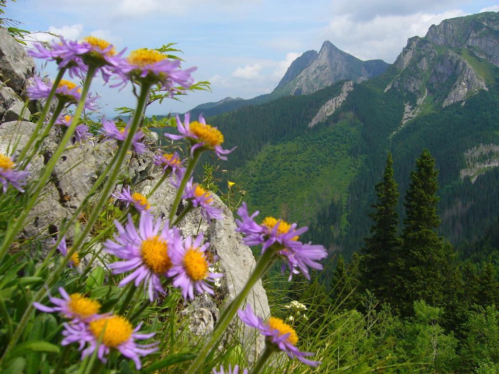 Kwatera prywatna Legenda Tatr Zakopane